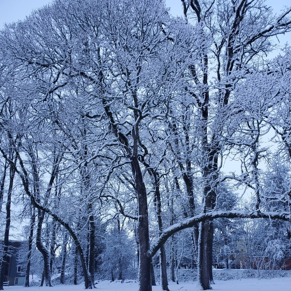 Meet your Posher, Kelsey - Picture 6 of 8